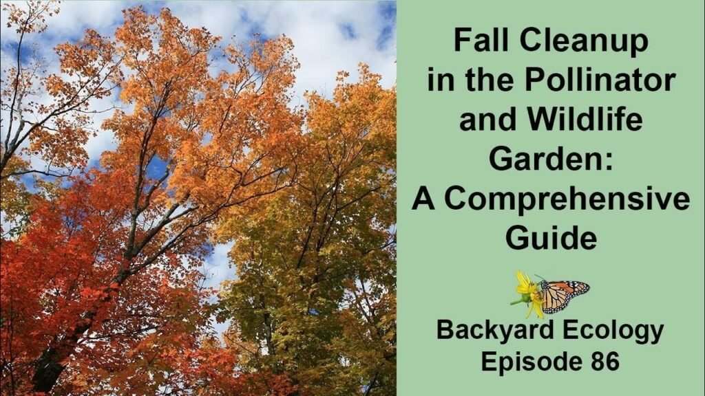 Fall Cleanup Tips for Pollinator Gardens