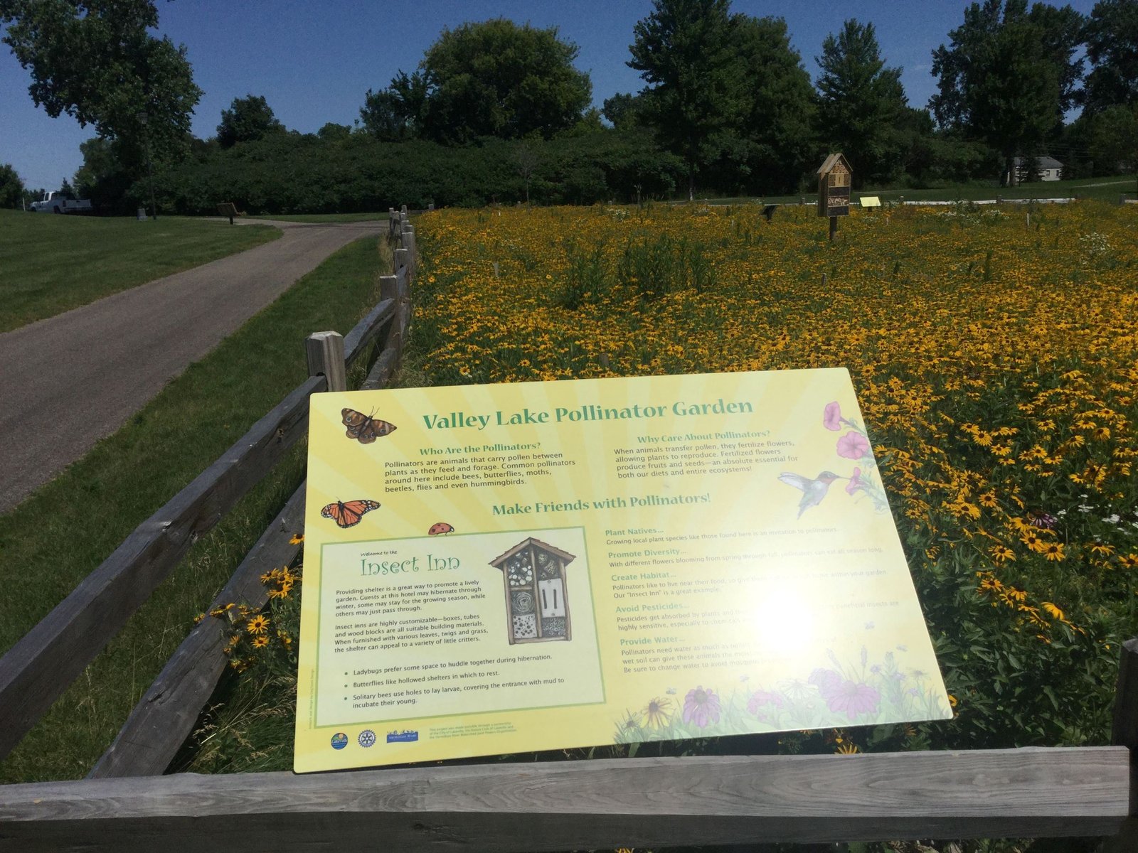 How to Build Winter Shelters for Bees And Butterflies